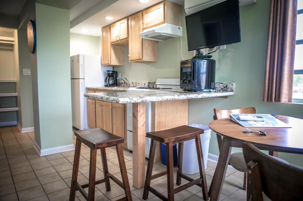 Large Studio Apartment - Queen Beds